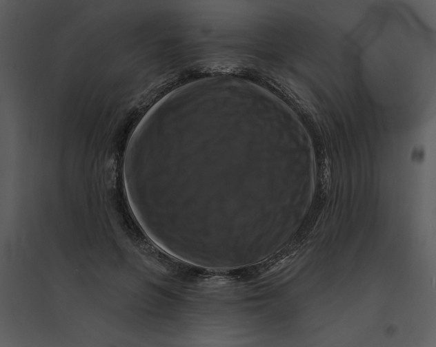 X0000095550551200801041333