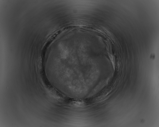 X0000095550552200801041333