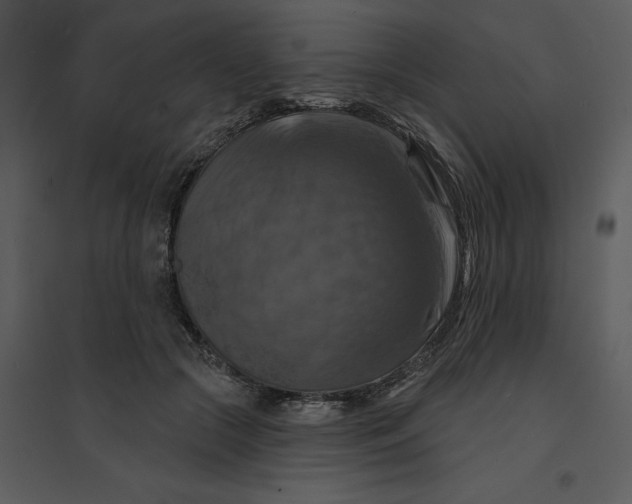 X0000095550553200801041333