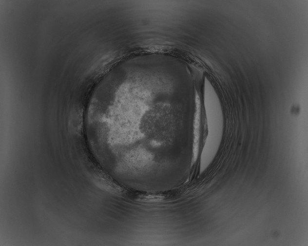 X0000095550554200801041333