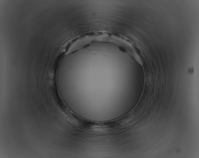 X0000095550556200801041333