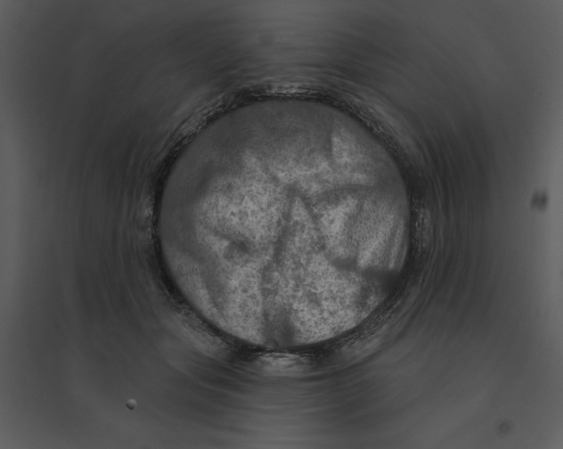 X0000095550557200801041333