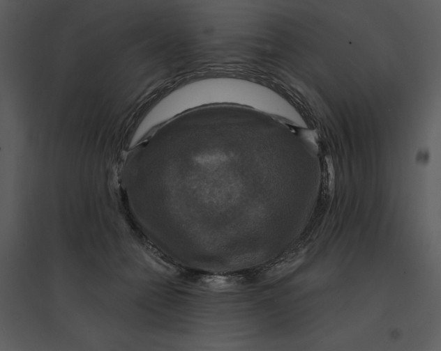 X0000095550558200801041333