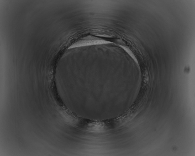 X0000095550559200801041333