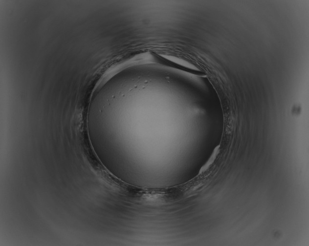 X0000095550560200801041333