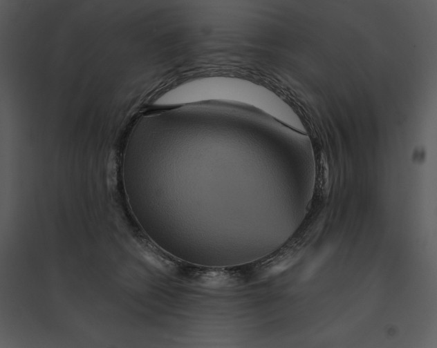 X0000095550562200801041333