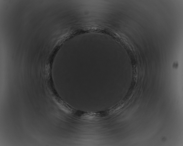 X0000095550563200801041333