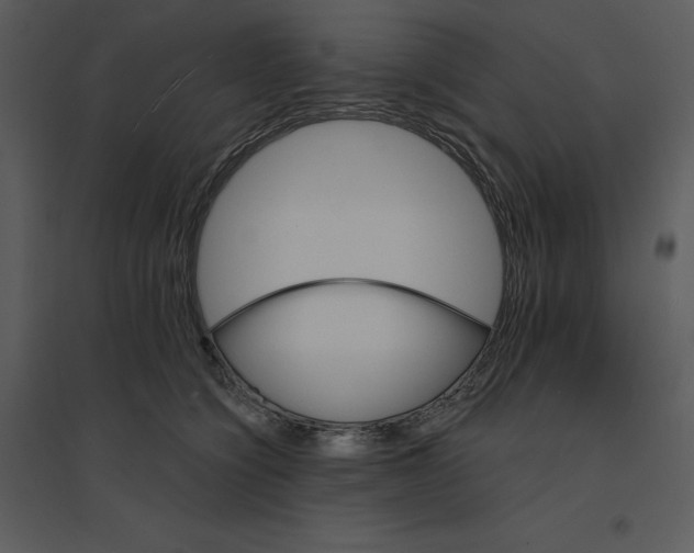 X0000095550564200801041333