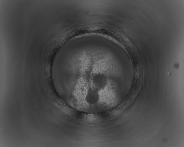 X0000095550565200801041333