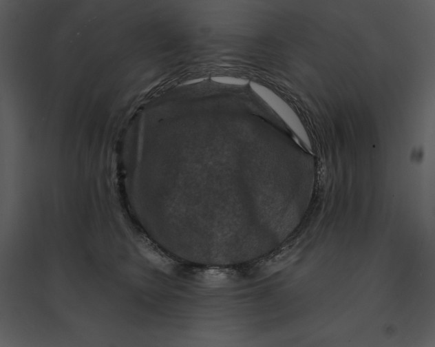 X0000095550566200801041333