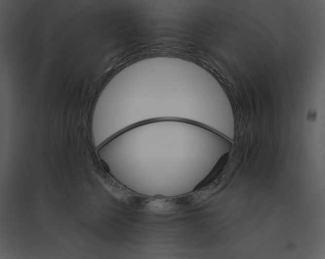 X0000095550568200801041333