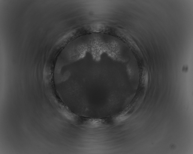 X0000095550569200801041333