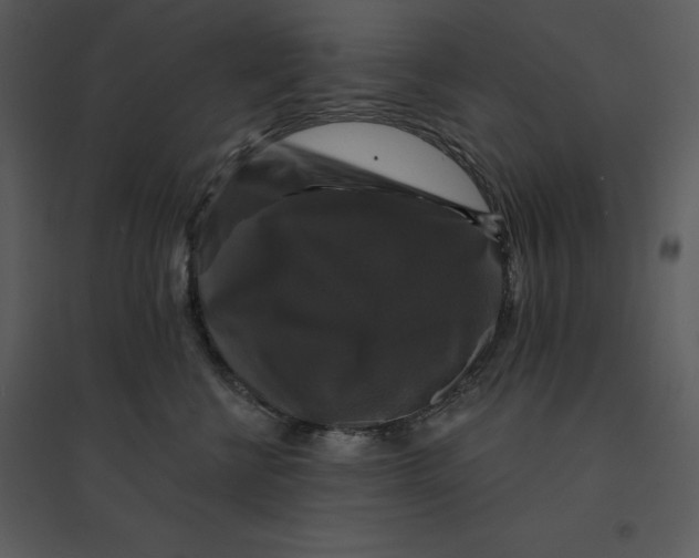 X0000095550570200801041333