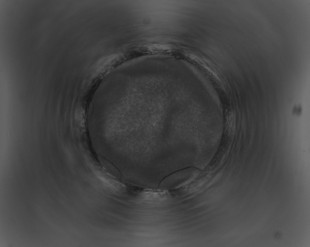 X0000095550571200801041333