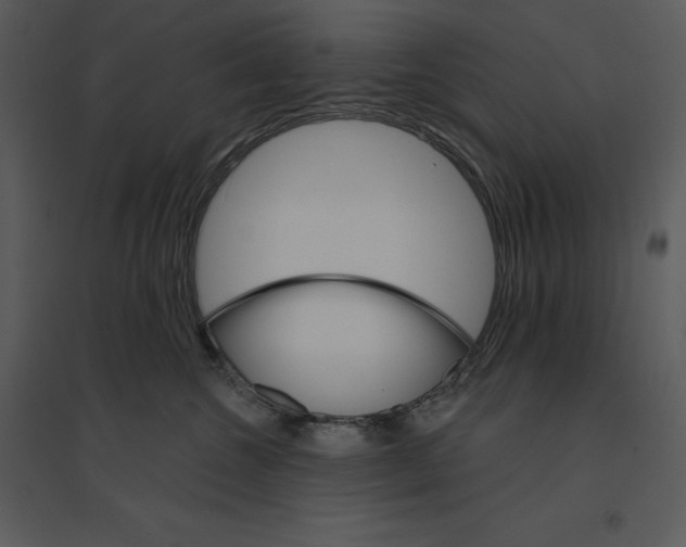 X0000095550572200801041333