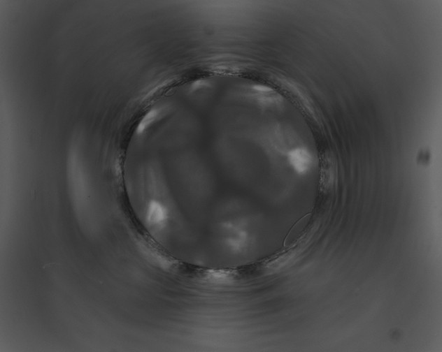 X0000095550573200801041333