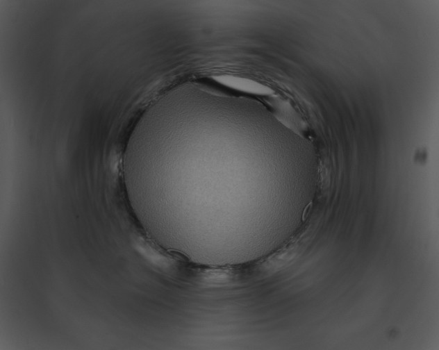 X0000095550574200801041333