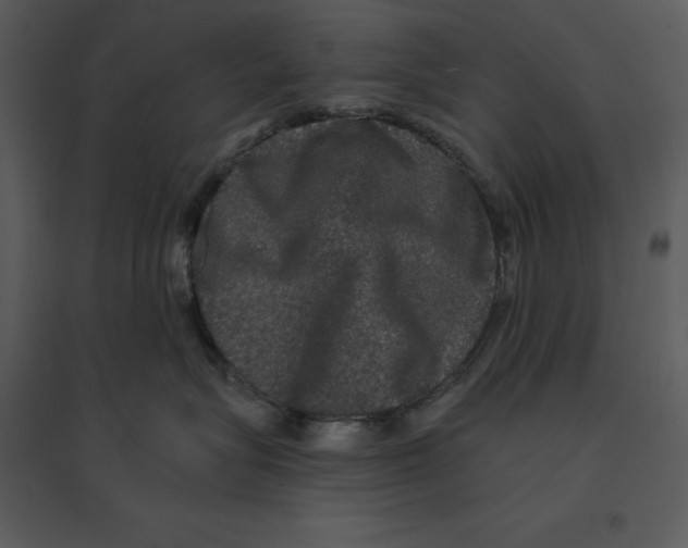 X0000095550575200801041333