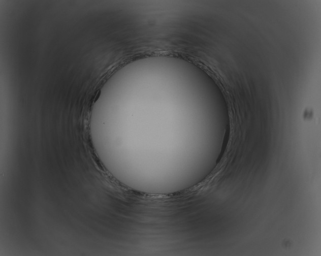 X0000095550576200801041333