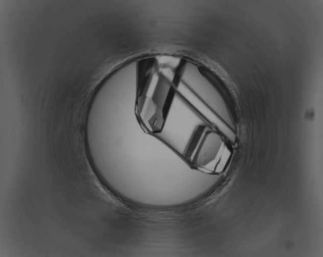 X0000095550577200801041333