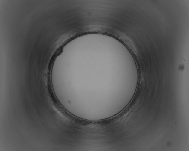 X0000095550578200801041333