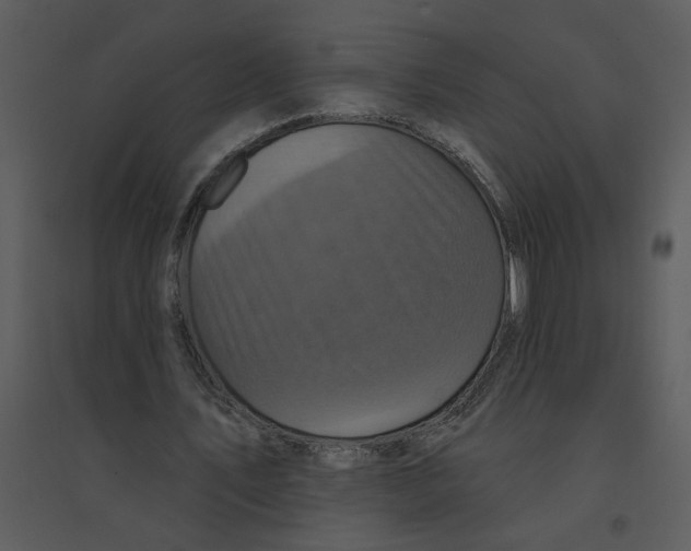 X0000095550579200801041333