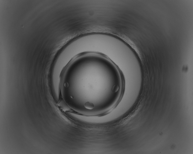 X0000095550581200801041333