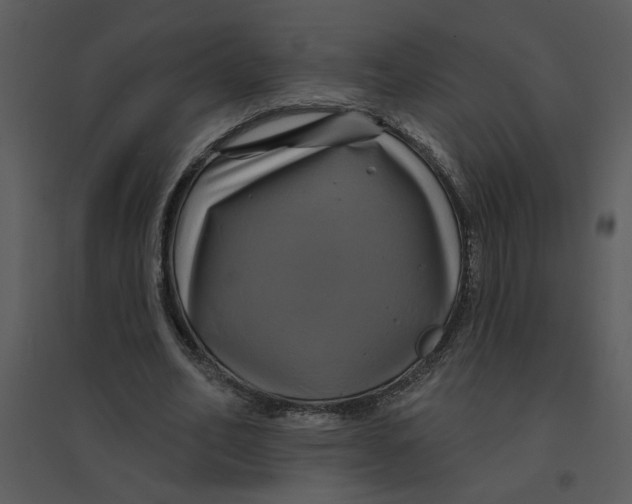 X0000095550582200801041333