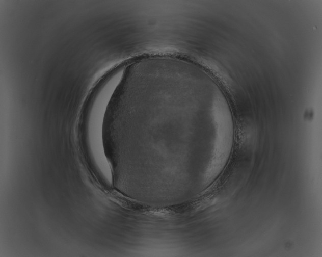 X0000095550583200801041333