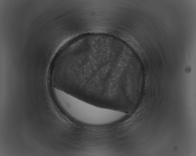 X0000095550584200801041333