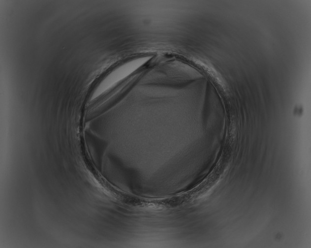 X0000095550585200801041333