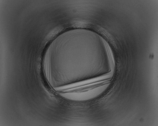 X0000095550586200801041333