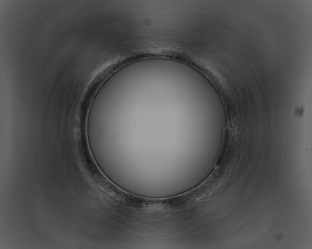 X0000095550587200801041333