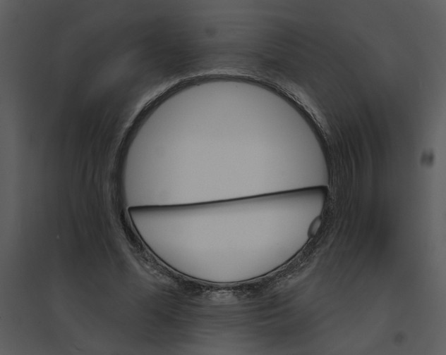 X0000095550588200801041333