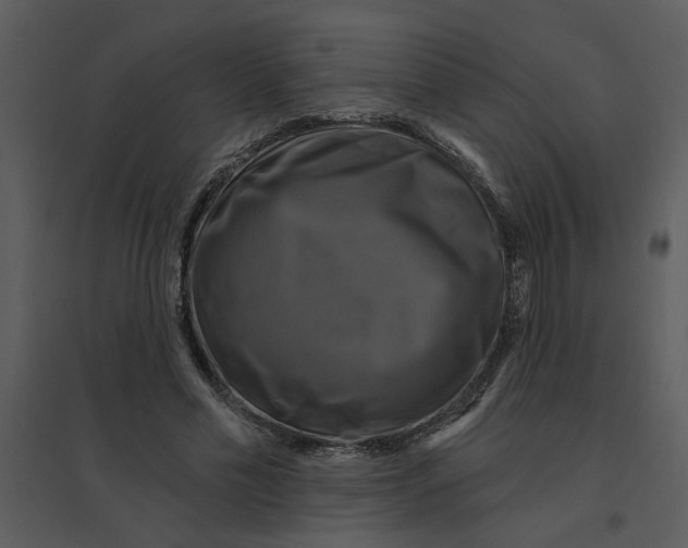 X0000095550589200801041332