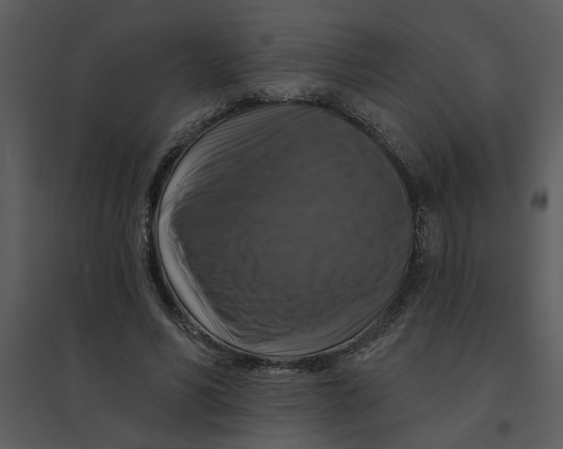 X0000095550590200801041332