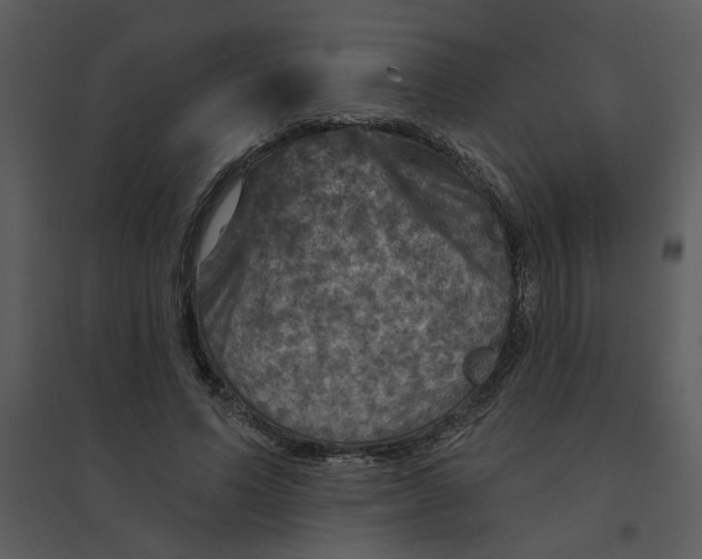 X0000095550591200801041332