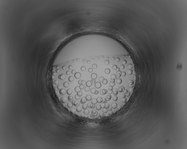 X0000095550592200801041332