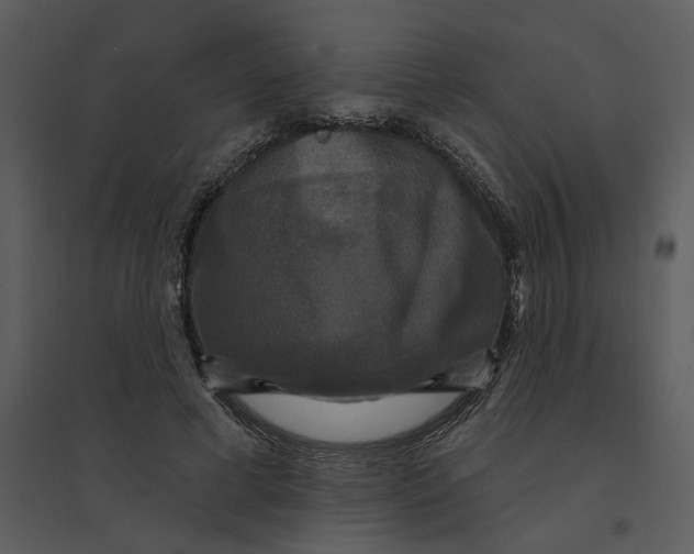 X0000095550593200801041332