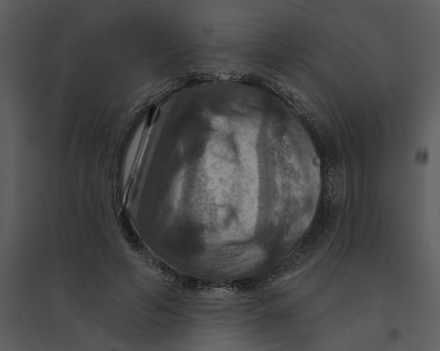 X0000095550594200801041332