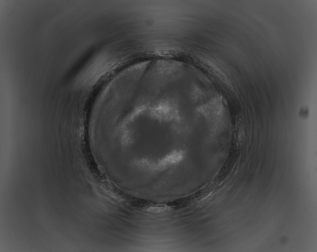 X0000095550595200801041332