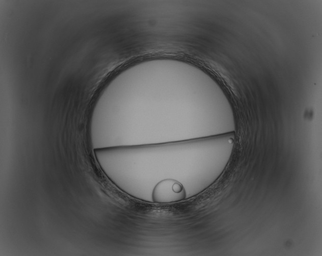 X0000095550596200801041332