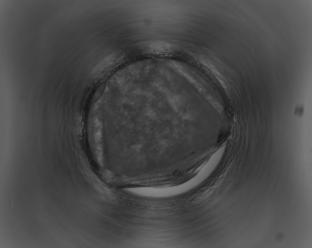 X0000095550597200801041332