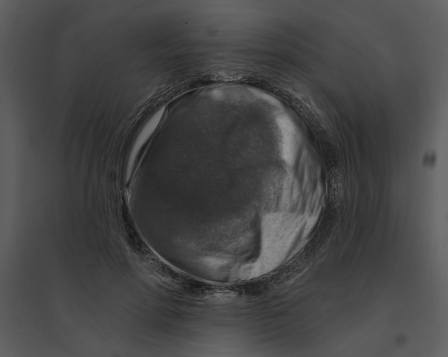 X0000095550598200801041332