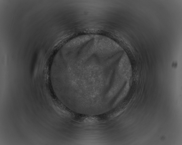 X0000095550599200801041332