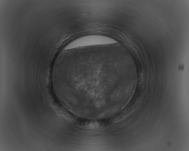 X0000095550600200801041332