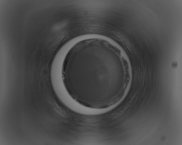 X0000095550601200801041332