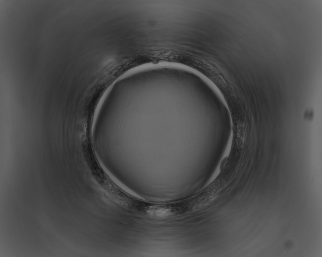 X0000095550602200801041332