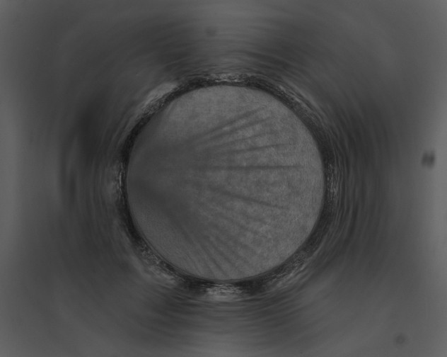 X0000095550603200801041332