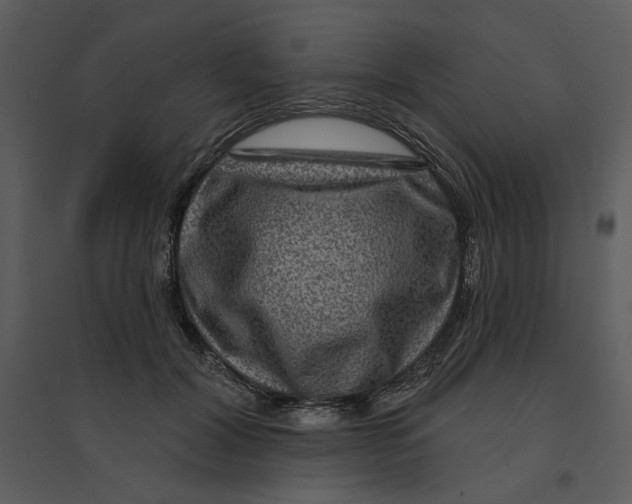 X0000095550604200801041332